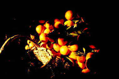 Orangen in Marokko