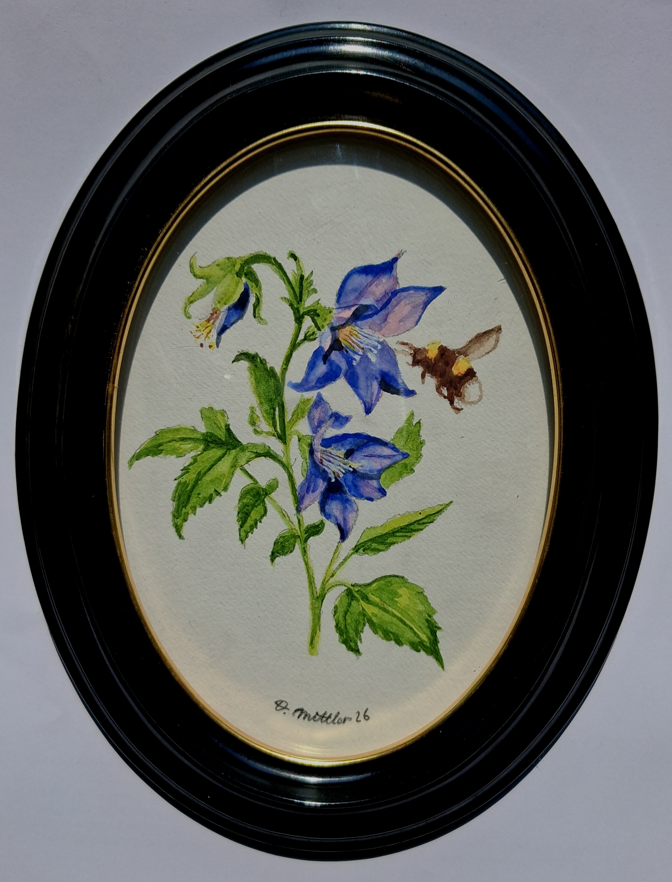 Blumen mit Hummel
                