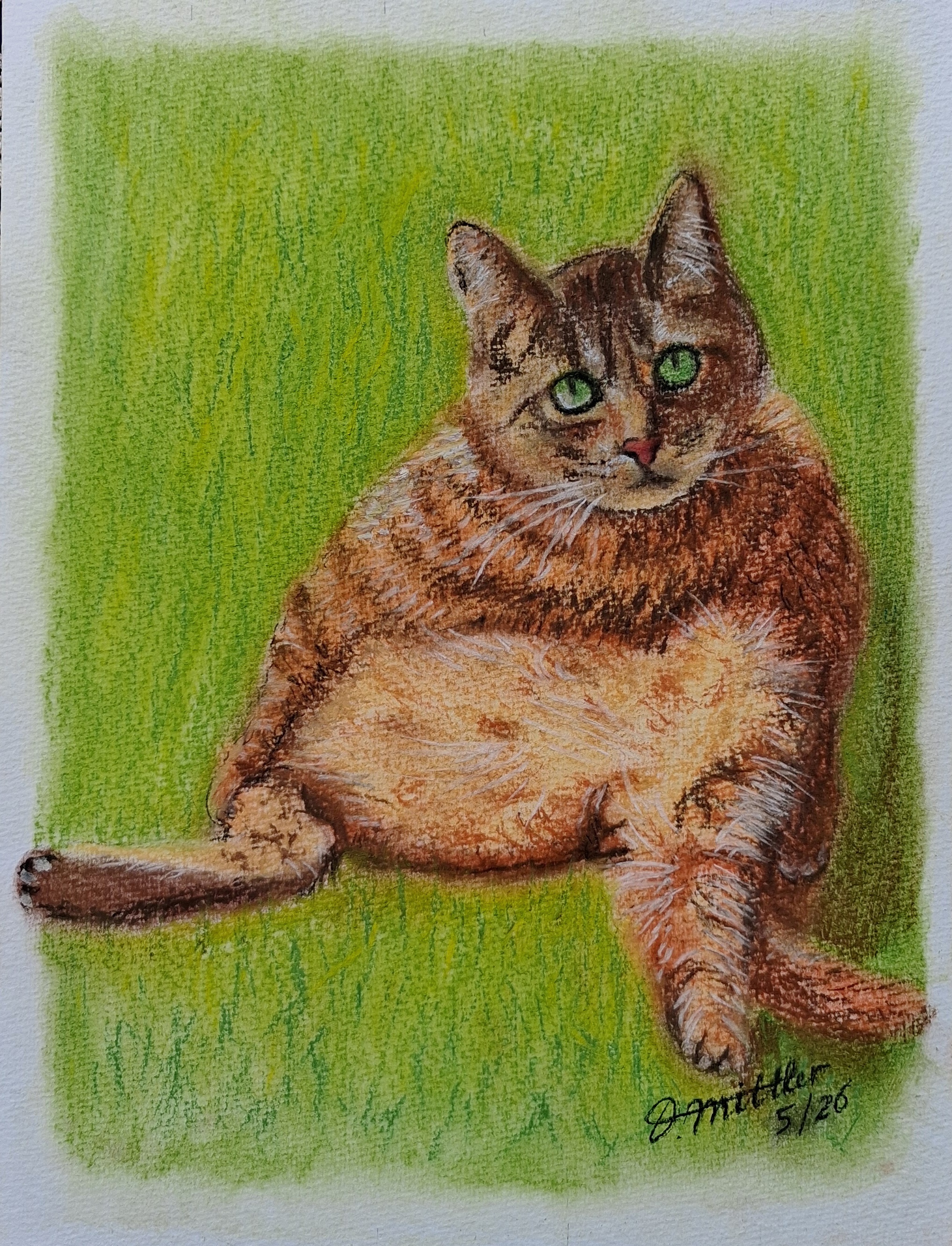 Katze